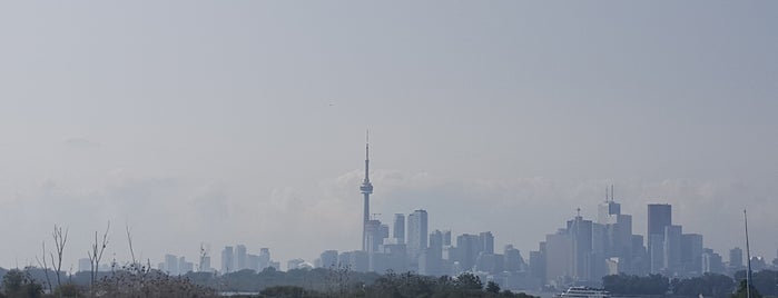 Tommy Thompson Park is one of heart.