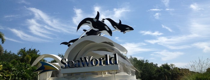 Sea World Adventure Camps is one of Viagem EUA.