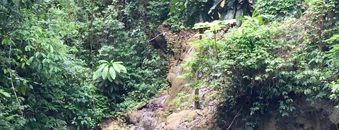 Somerset Falls is one of Jamaica.