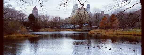 Central Park is one of NYC +.