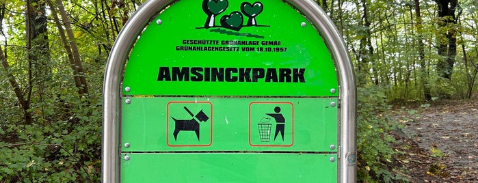 Amsinckpark is one of The Next Big Thing.