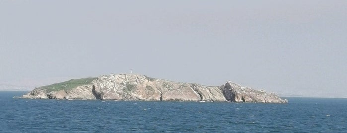 Tavşan Adası (Neandros) is one of Gidilesi Adalar.