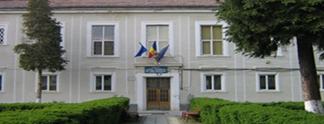 Liceul Teoretic „Ion Codru Drăgușanu” is one of Romanian High Schools.