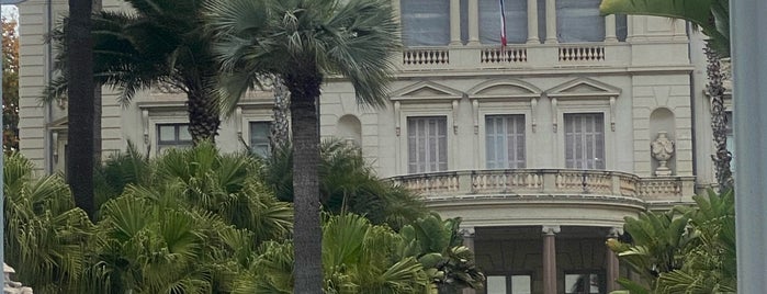 Musée Masséna is one of Canne.