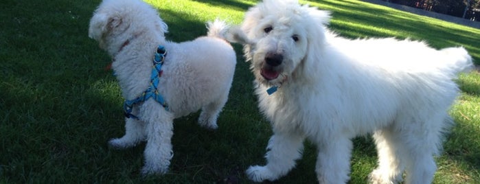 George Washington Park is one of Dog-Friendly Monterey Peninsula.