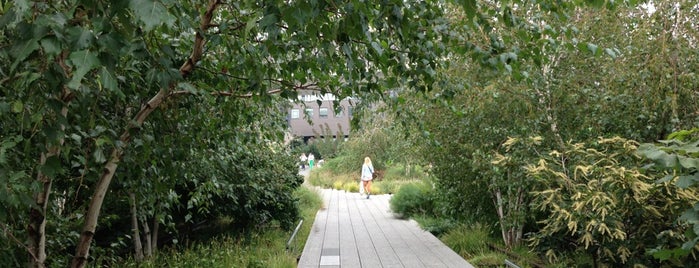 High Line is one of First Trip to NY.
