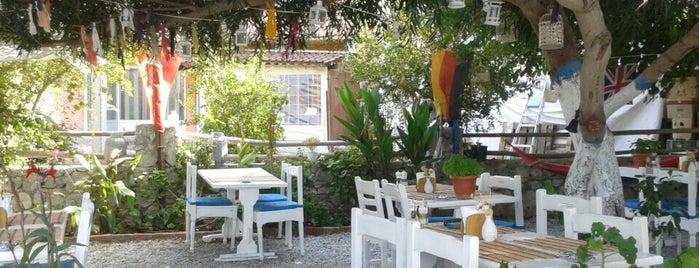 Osman's Place Restaurant is one of Lugares favoritos de Ozan.