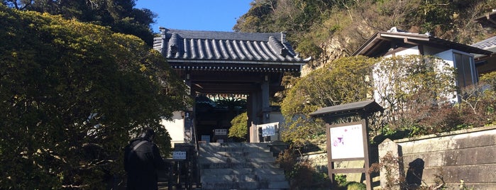 安養院 is one of 玉川八十八ヶ所霊場.