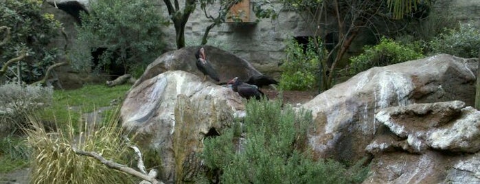 Micke Grove Zoo is one of Zoos/Aquariums in CA.