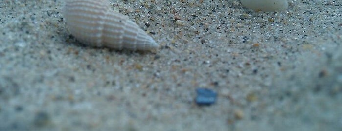 Orchard Beach is one of Bomb NY Beaches.