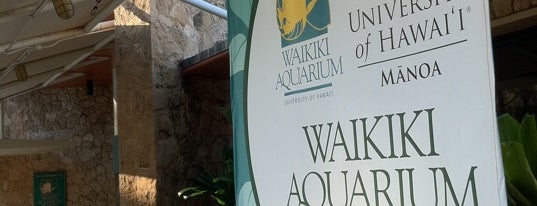 Waikiki Aquarium is one of Honolulu's Best Entertainment - 2012.