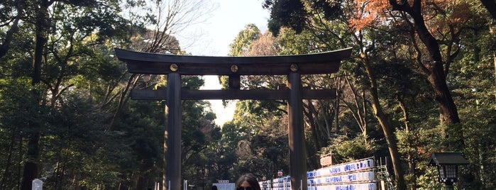 Yoyogi Park is one of My Tokyo Trip 2014/2015.