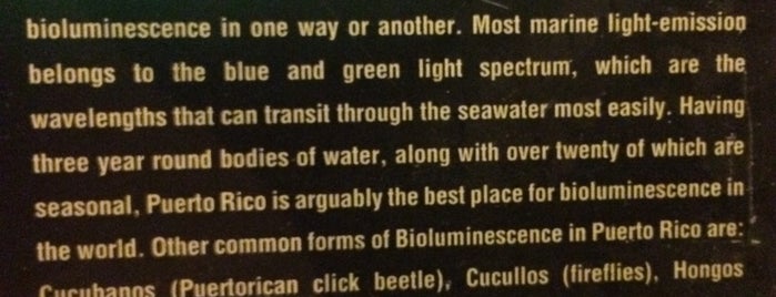 Bioluminescent Bay @ Fajardo is one of San Juan.