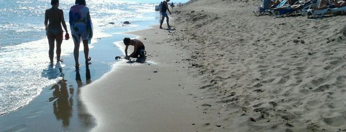 Playa de Las Chapas is one of Felixさんのお気に入りスポット.