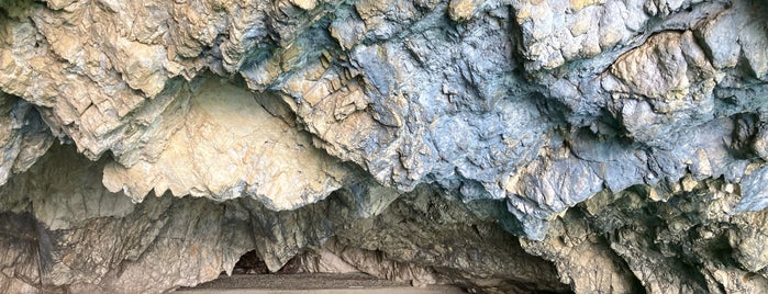 Marathonisi cave is one of Zante.