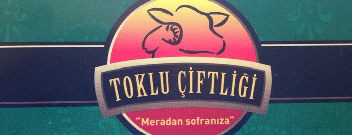 Toklu Çiftliği Kasap & Izgara is one of istanbul.