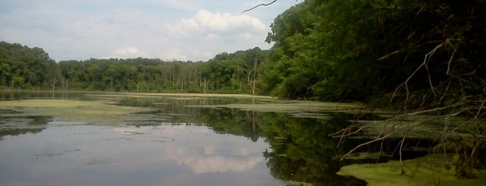 Mud Lake is one of New.