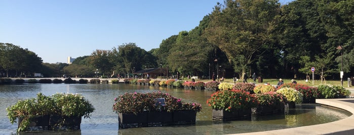 Ueno Park is one of Singapore + Tokyo.