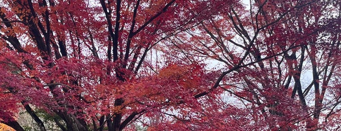 犬山寂光院 is one of Shrines & Temples.