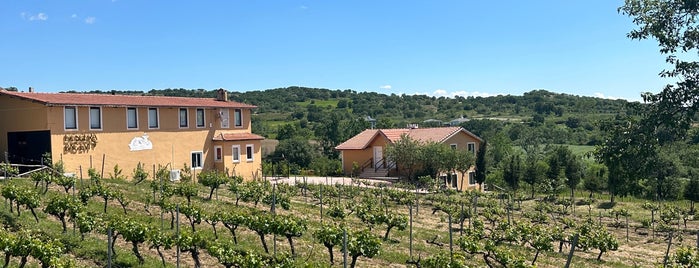 Vino Dessera Vineyards is one of Kamp.