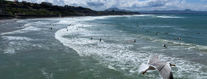 Côte des Basques is one of Surfing-2.