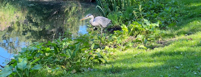 Rembrandtpark is one of AMS.