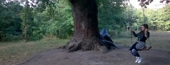 Дубовий гай is one of Yさんのお気に入りスポット.