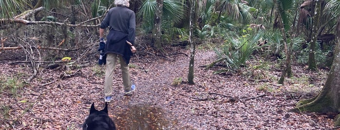 Hillsborough River State Park is one of My Fun.