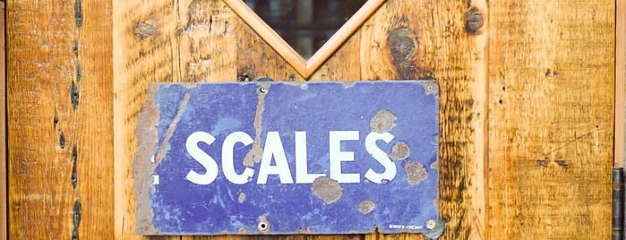 Scales is one of Portland.