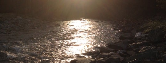 Patapsco Valley State Park is one of Swimming Spots.