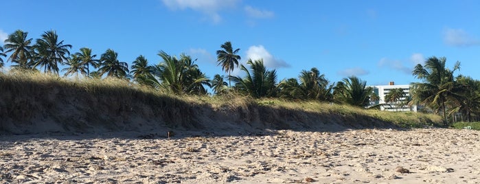 Praia Ponta de Campina is one of Isabelleさんのお気に入りスポット.