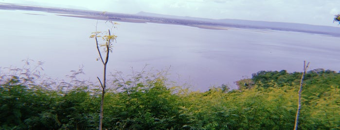 Phu Kao-Phu Phan Kham National Park is one of เลย, หนองบัวลำภู, อุดร, หนองคาย.