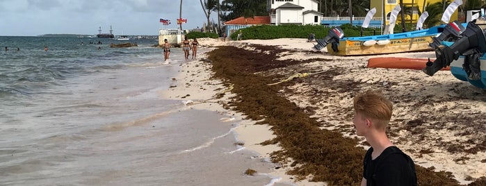 Barceló Dominican Beach is one of History.