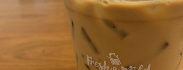 Fresh&Mild since 1992 is one of chiangmai trip 2017.