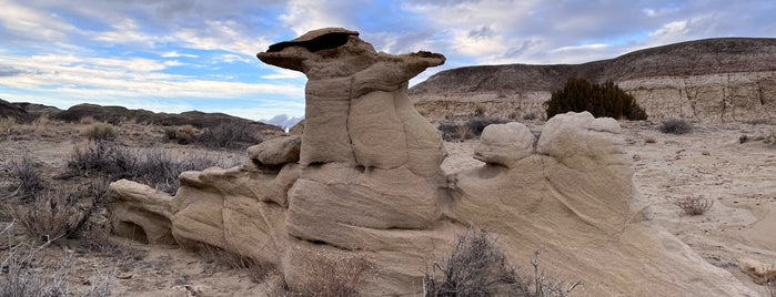 Bisti/De-Na-Zin Wilderness is one of New Mexico.
