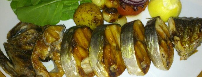 Arşipel Balık Restaurant is one of Posti che sono piaciuti a Arzu.