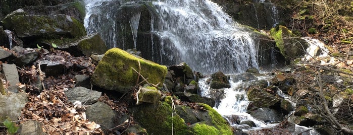 Крушунски Водопади is one of 83'ın Beğendiği Mekanlar.