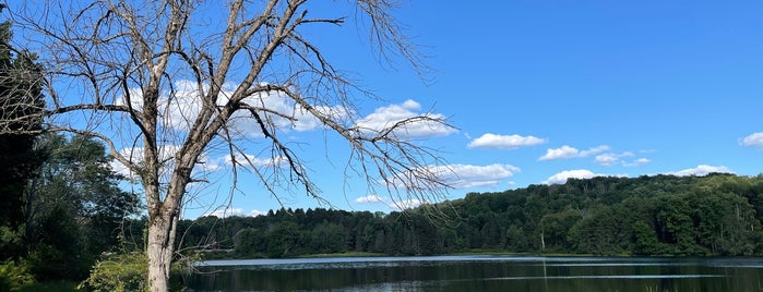 Lackawanna State Park is one of Camping and Glamping.