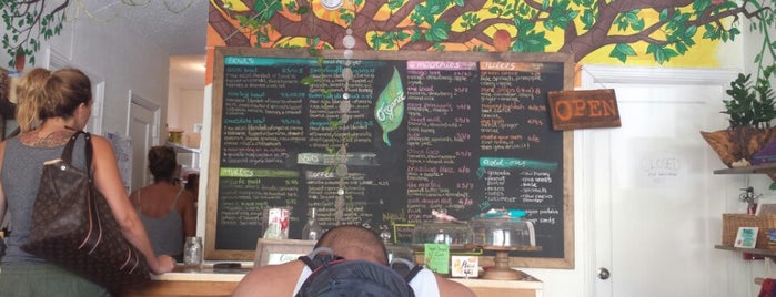 Under the Mango Tree is one of The 15 Best Places for Tea in Miami Beach.