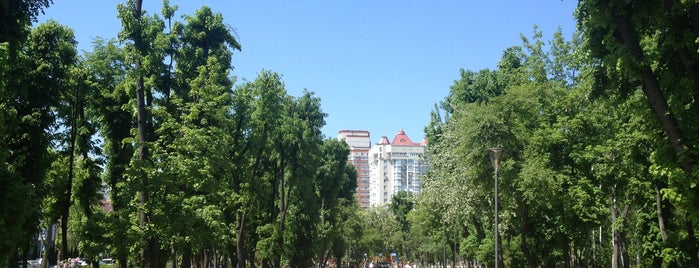 Сквер Мартиросяна is one of Киев.