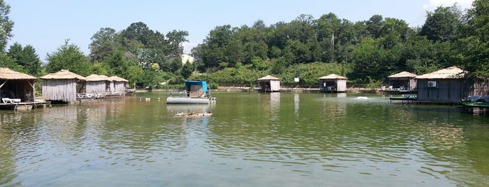 Ачигварское Озеро is one of Jurgis 님이 좋아한 장소.