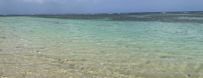 Plage de Bois Jolan is one of Guadeloupe.