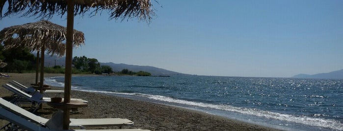 Assado Bay is one of All-time favorites in Greece.