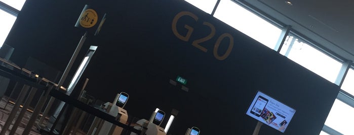 Gate G20 is one of SIN Airport Gates.