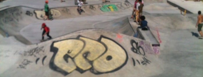 skatepark Aterro do Flamengo is one of สถานที่ที่ Leandro ถูกใจ.