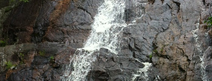 Chute de Luskville Falls is one of สถานที่ที่บันทึกไว้ของ Kimmie.