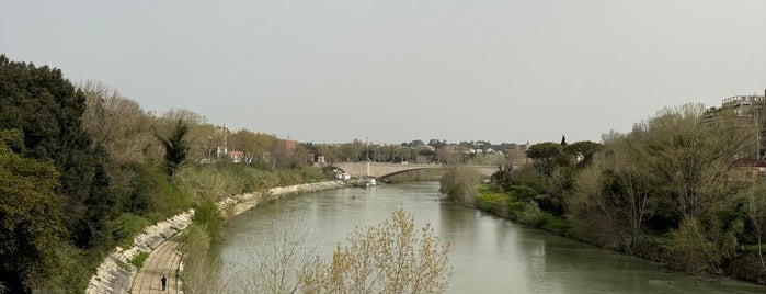 Ponte della Musica is one of Roma - luoghi del ❤️.