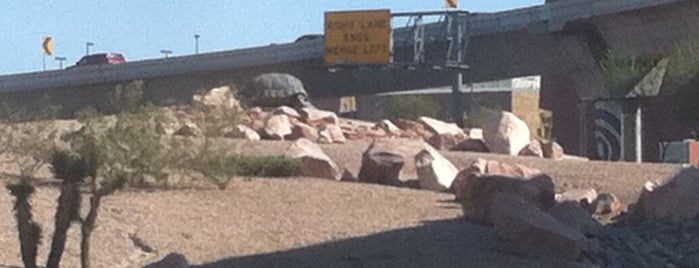 Tortoise Sculpture is one of Vegas cross off list.
