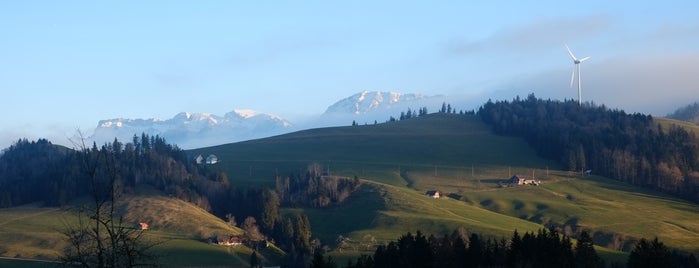 Emmental is one of Switzerland 2013.