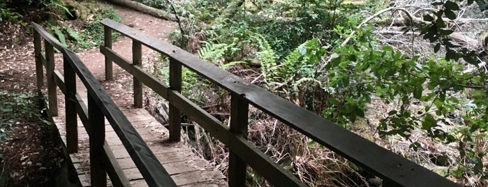 Skyline-to-the-Sea Trail is one of Hikes.